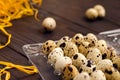 Quail eggs in a plastic container on a dark wooden background. Royalty Free Stock Photo