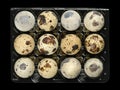 Fresh quail eggs in plastic egg carton, from above, over black Royalty Free Stock Photo