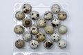 Quail eggs in plastic packaging. Quail eggs on a white background. A delicious snack Royalty Free Stock Photo