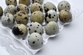 Quail eggs in plastic packaging. Quail eggs on a white background. A delicious snack Royalty Free Stock Photo