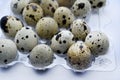 Quail eggs in plastic packaging. Quail eggs on a white background. A delicious snack Royalty Free Stock Photo