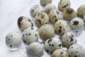 Quail eggs in plastic packaging. Quail eggs on a white background. A delicious snack Royalty Free Stock Photo