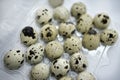 Quail eggs in plastic packaging. Quail eggs on a white background. A delicious snack Royalty Free Stock Photo
