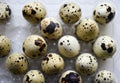 Quail eggs in plastic packaging. Quail eggs on a white background. A delicious snack Royalty Free Stock Photo