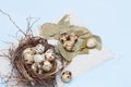 quail eggs Royalty Free Stock Photo