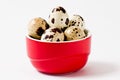 Quail eggs in red Royalty Free Stock Photo