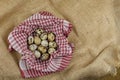 Quail eggs and a red and white towel on a burlap Royalty Free Stock Photo