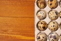 Quail eggs s in lattice on brown wooden background. Selective focus Royalty Free Stock Photo