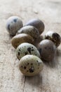 Quail eggs