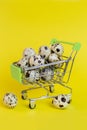 Quail eggs in shopping basket on a yellow background.