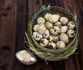 Quail eggs in a silver vase with grass and leaves Royalty Free Stock Photo
