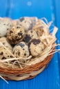 Quail eggs in small dish on wooden background Royalty Free Stock Photo