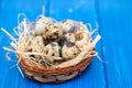 Quail eggs in small dish on wooden background Royalty Free Stock Photo