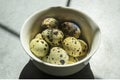 Quail eggs in a small white plate on a concrete background, standing on the table Royalty Free Stock Photo
