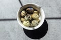 Quail eggs in a small white plate on a concrete background, standing on the table Royalty Free Stock Photo