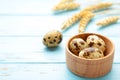 Quail eggs with spikelets of wheat on blue wooden background. Top view. Free space Royalty Free Stock Photo