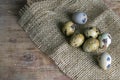 The quail eggs stand on the burlap on the wooden table next to a flowerin Royalty Free Stock Photo
