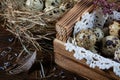 Quail eggs still life. Easter still life. Royalty Free Stock Photo