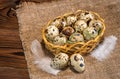 Quail eggs with straw and feathers in basket on hessian wooden b Royalty Free Stock Photo