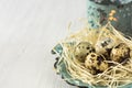 Quail eggs in a straw nest on vintage platter, lit candle in the background, Easter, retro style Royalty Free Stock Photo