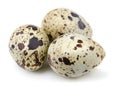 Quail eggs