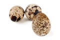 Quail eggs Royalty Free Stock Photo