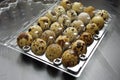 Quail eggs in a transparent plastic container on wooden black table. Healthy food. Royalty Free Stock Photo