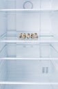 Quail eggs in a tray, in the refrigerator on a glass shelf, on a white background Royalty Free Stock Photo