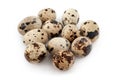 Quail Eggs White Background Royalty Free Stock Photo