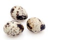 quail eggs on a white background Royalty Free Stock Photo