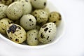 Quail eggs in a white plate. Food eggs on a white background Royalty Free Stock Photo
