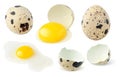 Quail eggs whole and broken collection Royalty Free Stock Photo
