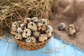 Quail eggs in a wicker basket