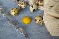 Quail eggs and willow branch with beige cloth Royalty Free Stock Photo