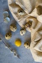 Quail eggs and willow branch with beige cloth