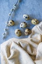 Quail eggs and willow branch with beige cloth Royalty Free Stock Photo