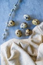 Quail eggs and willow branch with beige cloth