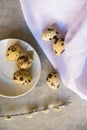 Quail eggs and willow branch with white cloth