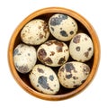 Group of fresh quail eggs, raw whole eggs, in a wooden bowl