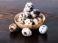 Quail eggs in a wooden bowl Royalty Free Stock Photo
