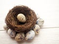quail eggs in wooden plate over dark old wooden background Royalty Free Stock Photo