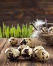 Quail eggs on a wooden table