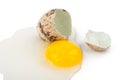 Quail eggs yolk protein