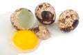 Quail eggs yolk protein