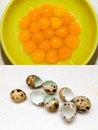 Quail eggs yolks Royalty Free Stock Photo