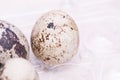 Quail Eggs on a marble table Royalty Free Stock Photo