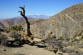 Quail Mountain snow covered top view from Keys View overlook in Joshua Tree National Park