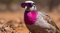 Vividly Bold Australian Pheasant With Pink Sunglasses In Futuristic Vision