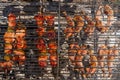 Quail Thighs and Beef Skewers on the Grill Royalty Free Stock Photo