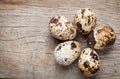 Quails eggs